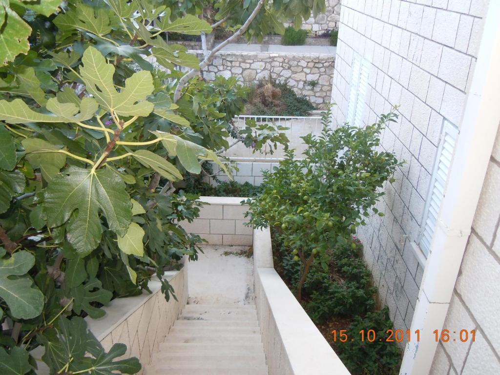 Central Apartment דוברובניק חדר תמונה