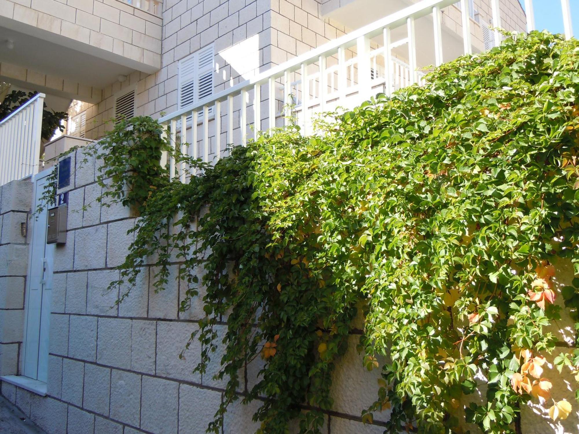 Central Apartment דוברובניק מראה חיצוני תמונה