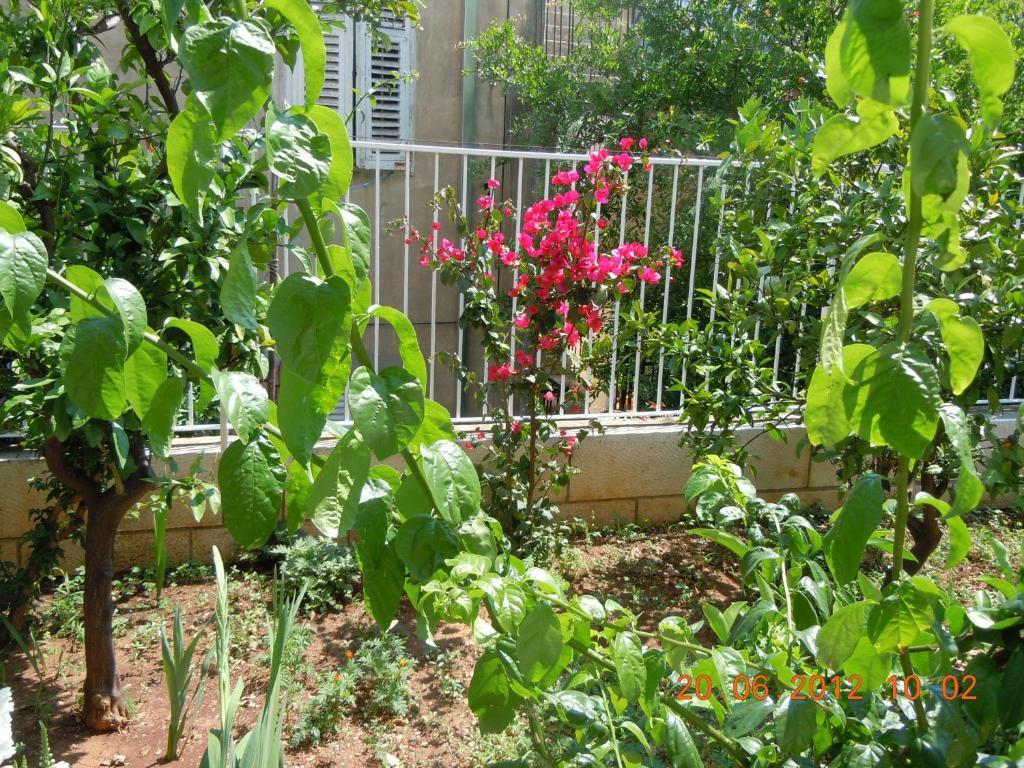 Central Apartment דוברובניק חדר תמונה