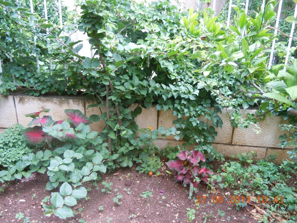 Central Apartment דוברובניק מראה חיצוני תמונה