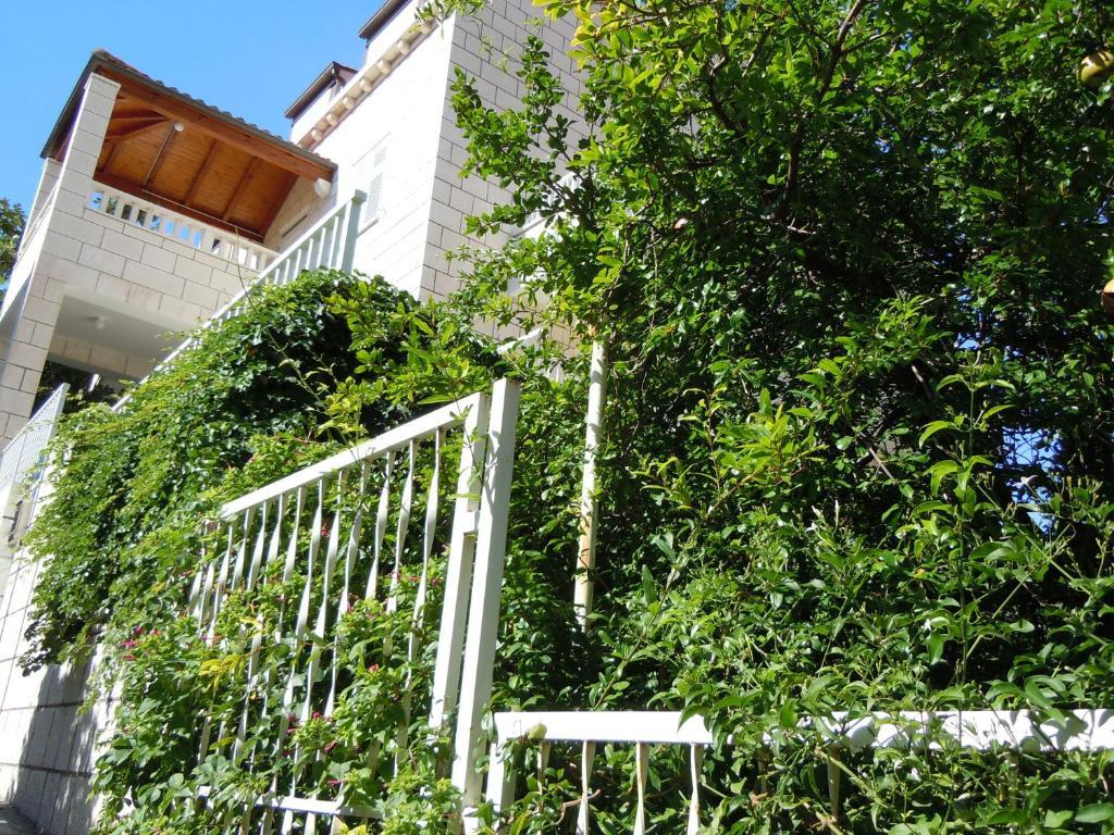 Central Apartment דוברובניק מראה חיצוני תמונה